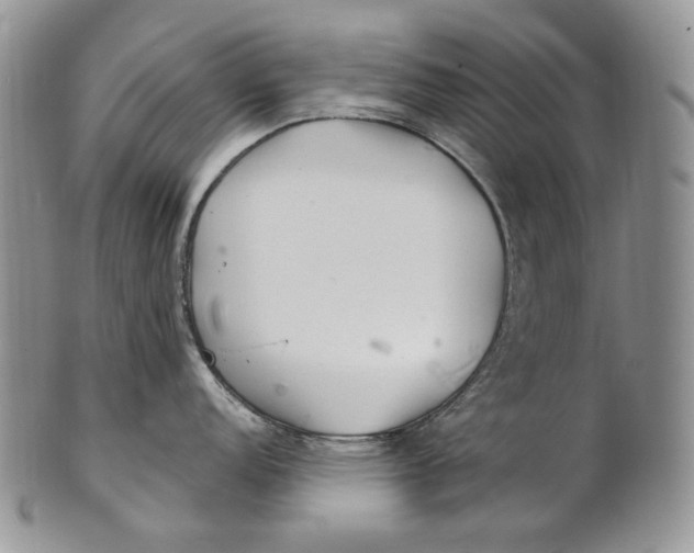 X0000100781152200807101810