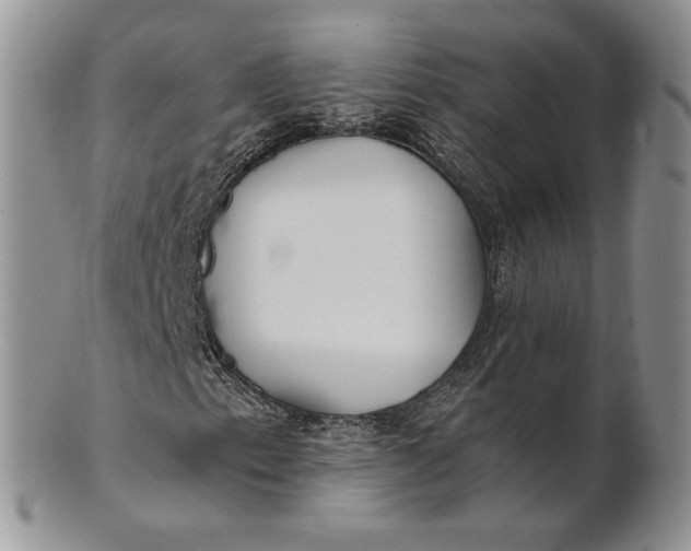 X0000100781153200807101809