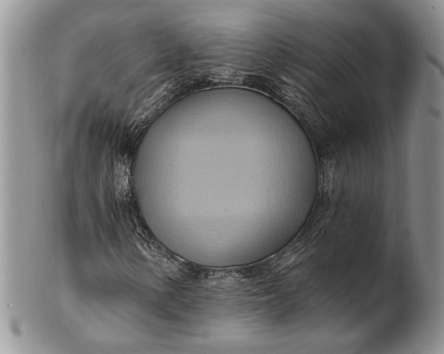 X0000100781154200807101809