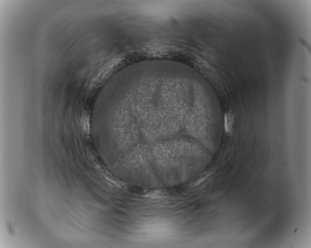 X0000100781155200807101809