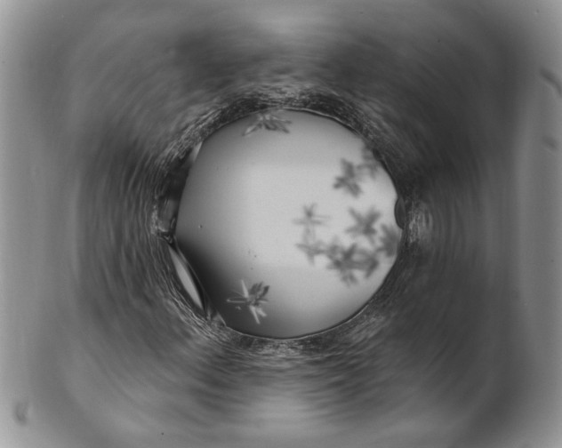 X0000100781156200807101809