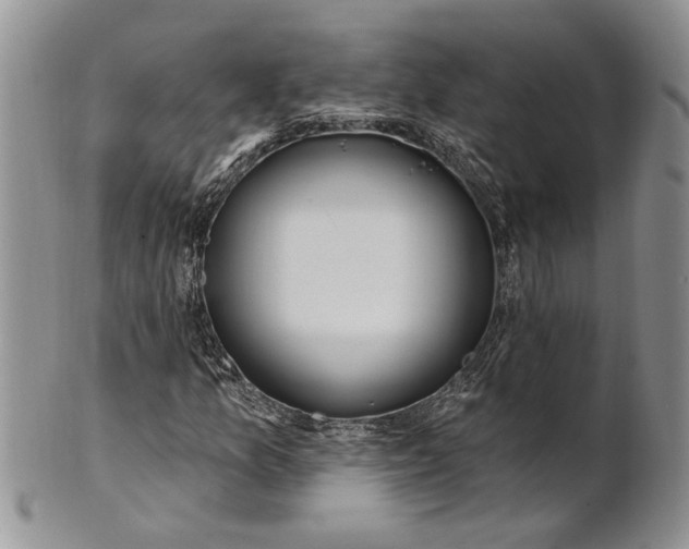 X0000100781157200807101809