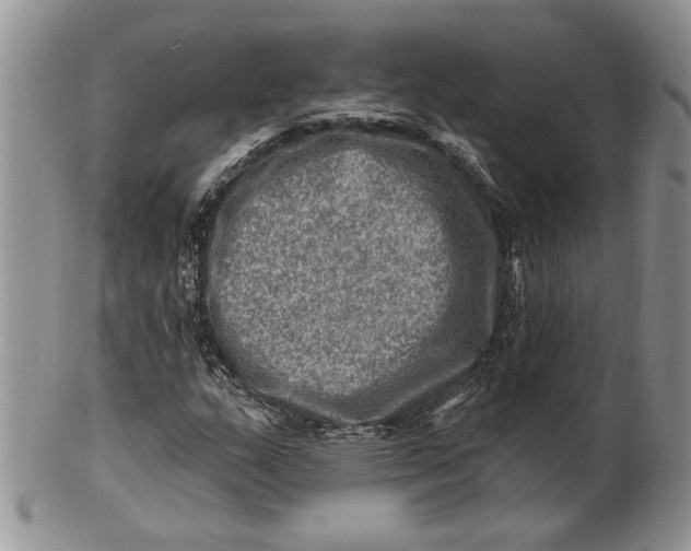 X0000100781159200807101809