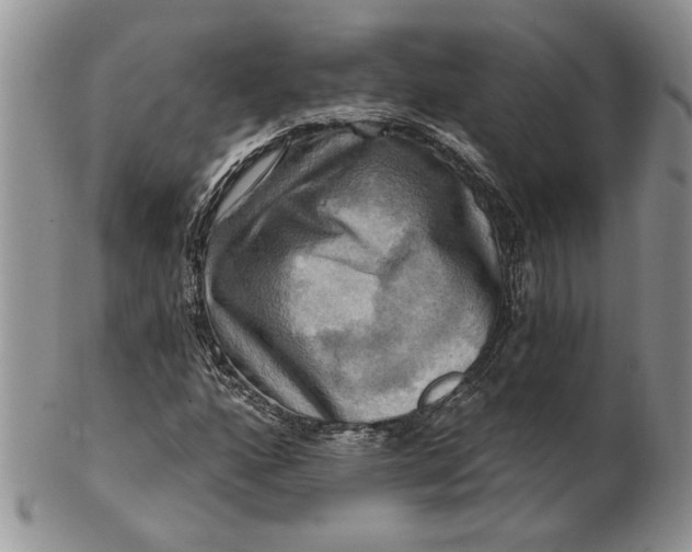 X0000100781160200807101809