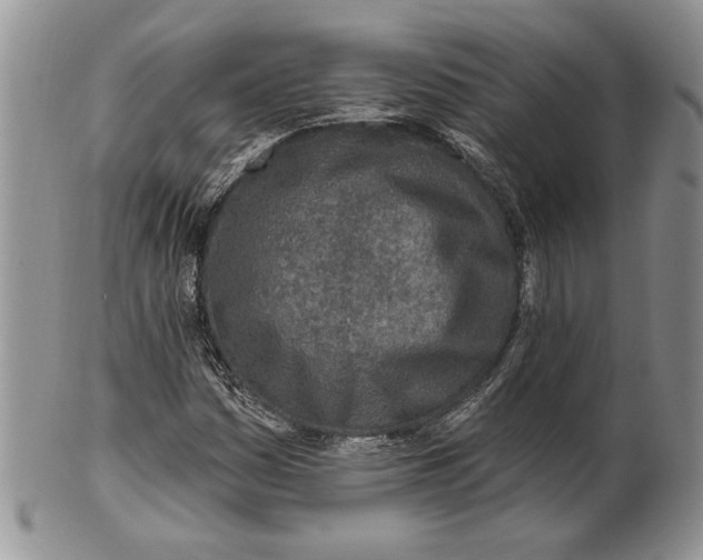 X0000100781161200807101809