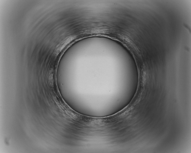 X0000100781162200807101809