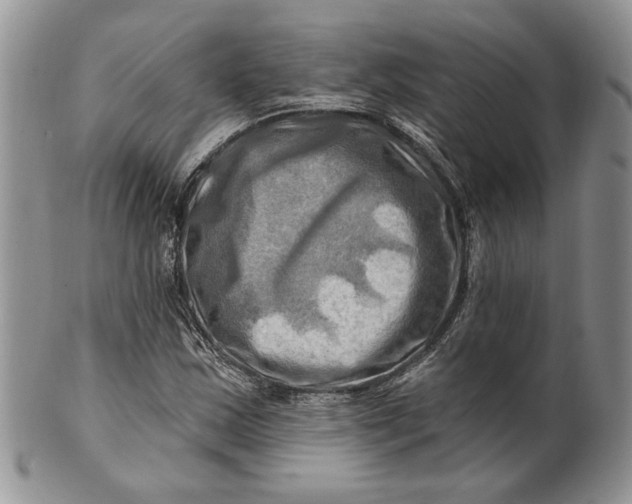 X0000100781163200807101809