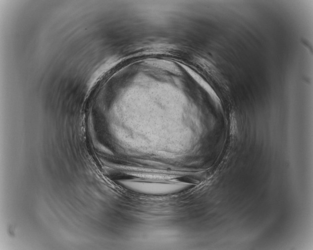 X0000100781164200807101809