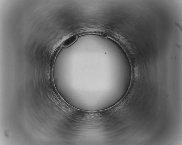 X0000100781165200807101809