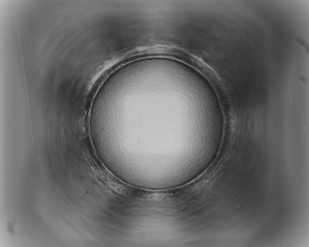 X0000100781166200807101809