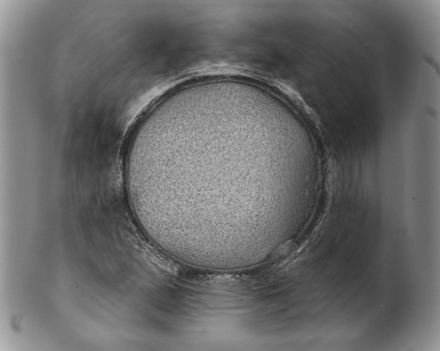 X0000100781167200807101809