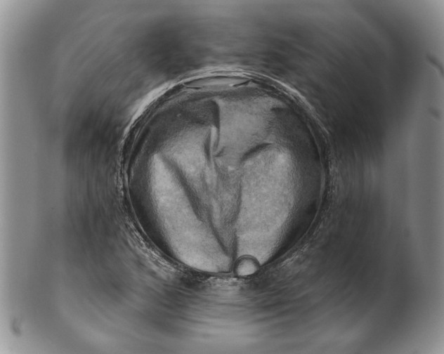 X0000100781168200807101809