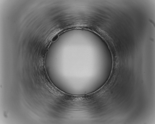 X0000100781169200807101809