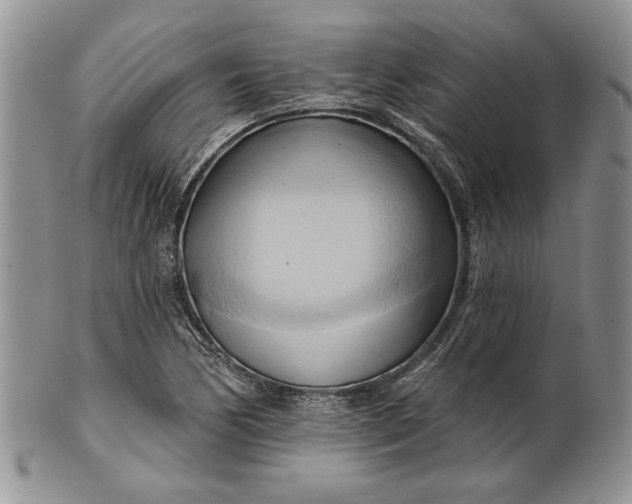 X0000100781170200807101809