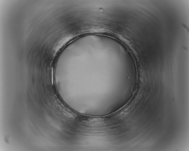 X0000100781171200807101809