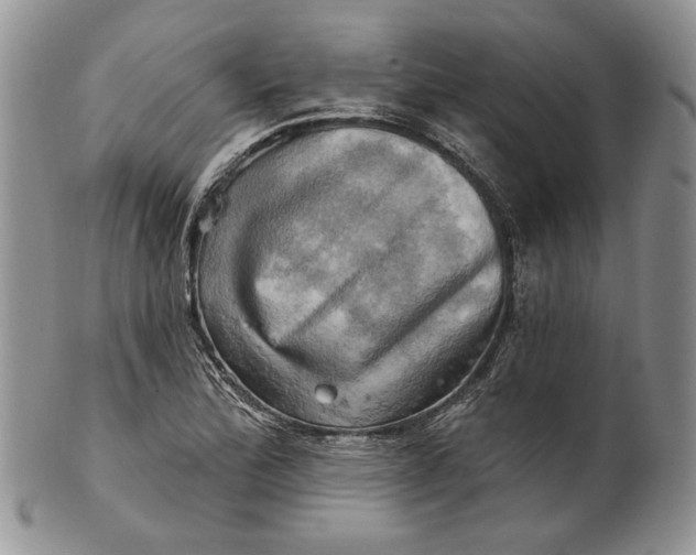 X0000100781172200807101809