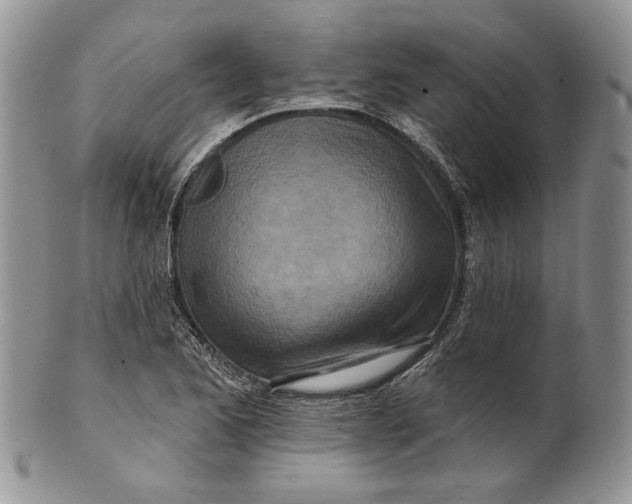 X0000100781173200807101809