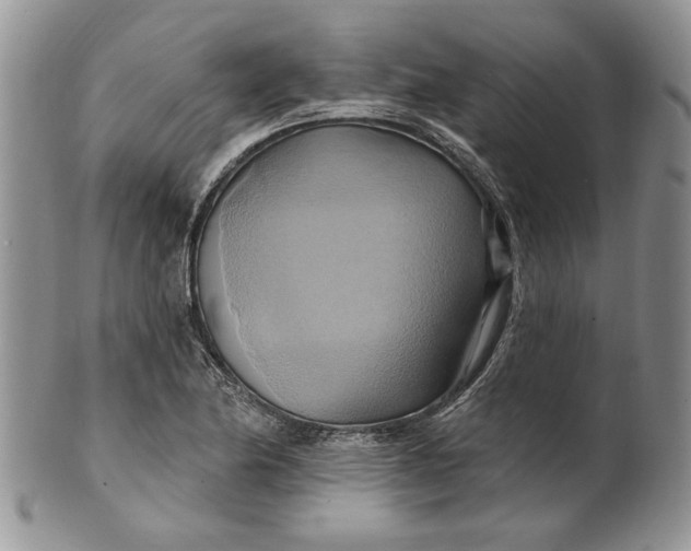 X0000100781174200807101809