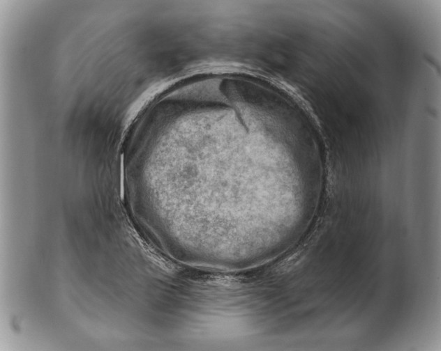 X0000100781175200807101809