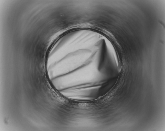 X0000100781176200807101809