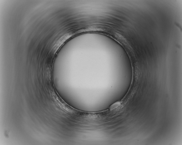 X0000100781177200807101809