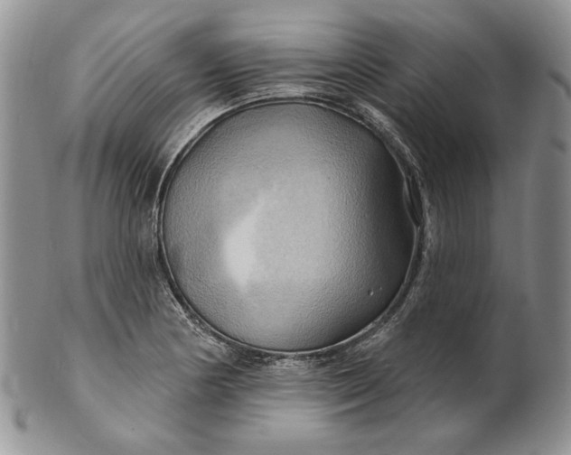 X0000100781178200807101809