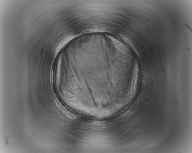 X0000100781179200807101809