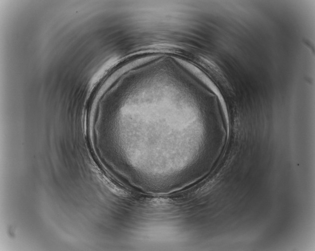 X0000100781180200807101809