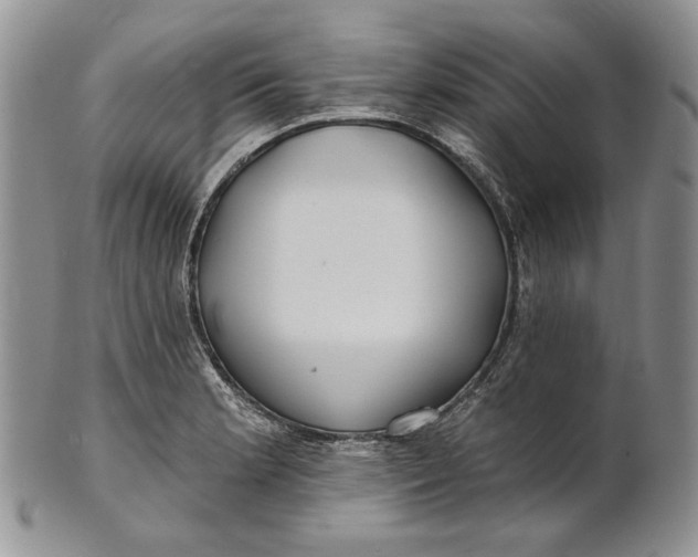 X0000100781181200807101809