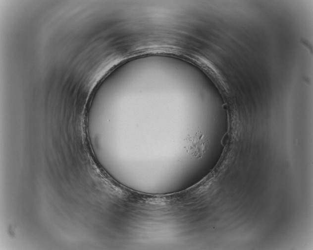 X0000100781182200807101809