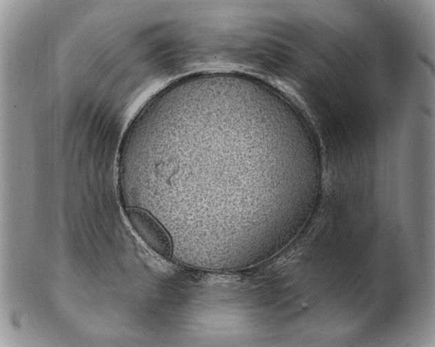 X0000100781183200807101809