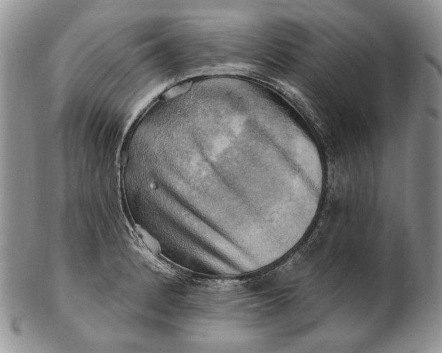 X0000100781184200807101809