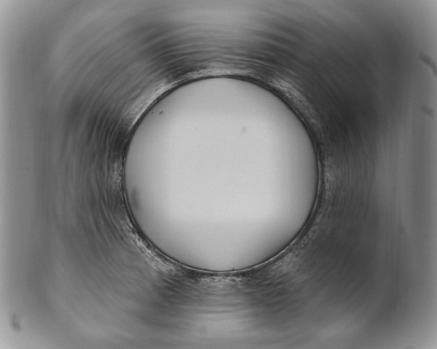 X0000100781185200807101809