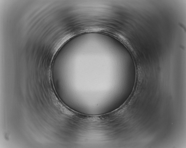 X0000100781186200807101809