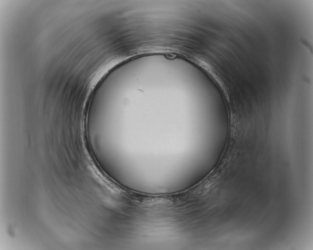 X0000100781187200807101809