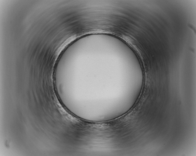 X0000100781189200807101809