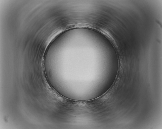 X0000100781190200807101809