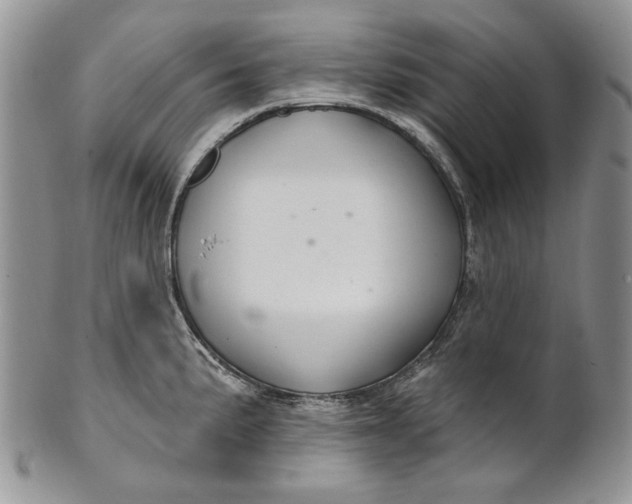 X0000100781191200807101809