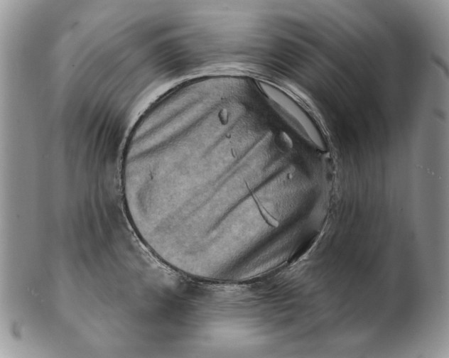 X0000100781192200807101809