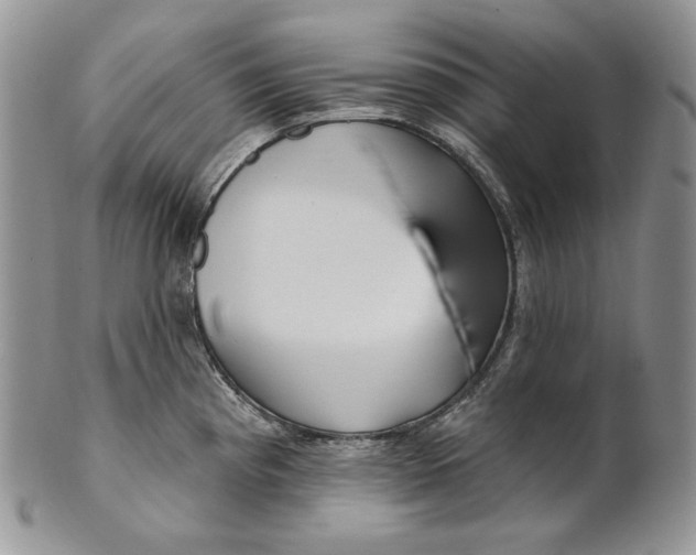 X0000100781193200807101809