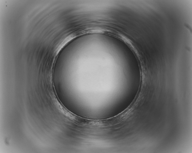 X0000100781194200807101809