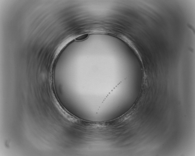 X0000100781195200807101809