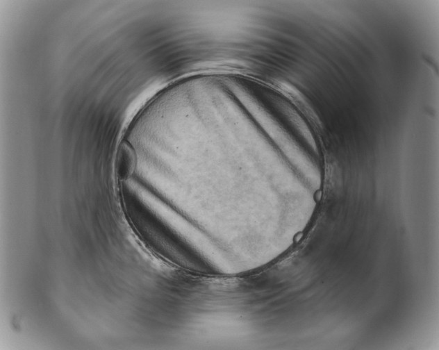 X0000100781196200807101809