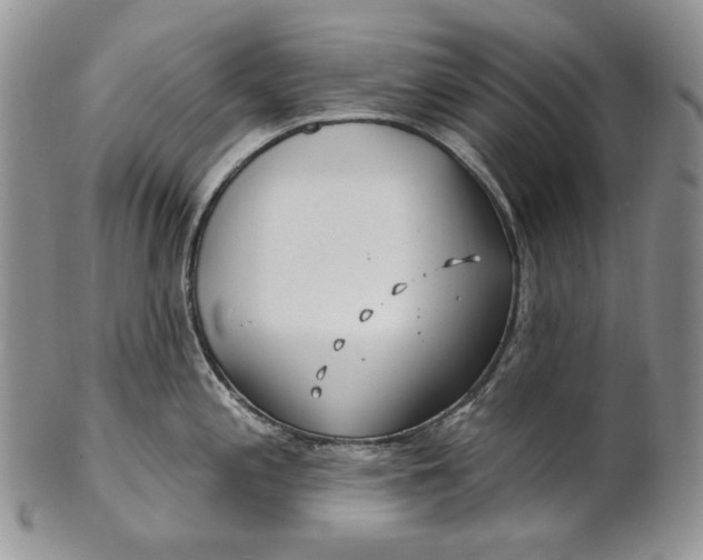 X0000100781197200807101809