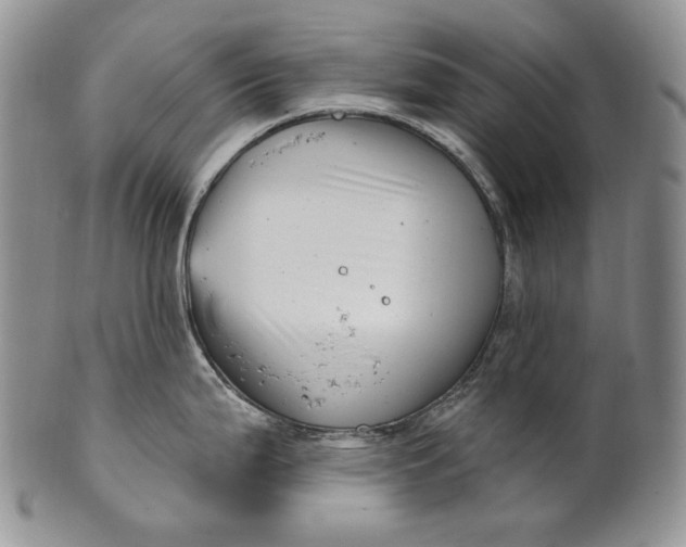 X0000100781199200807101808