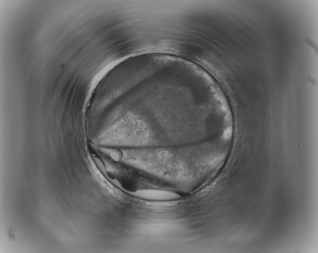 X0000100781200200807101808