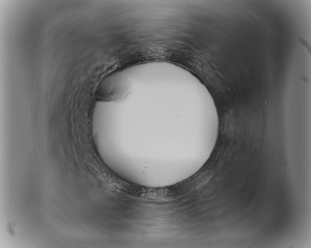 X0000100781201200807101808