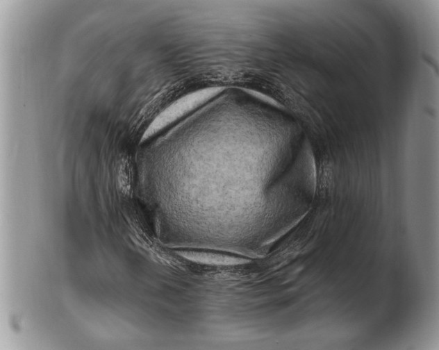 X0000100781202200807101808