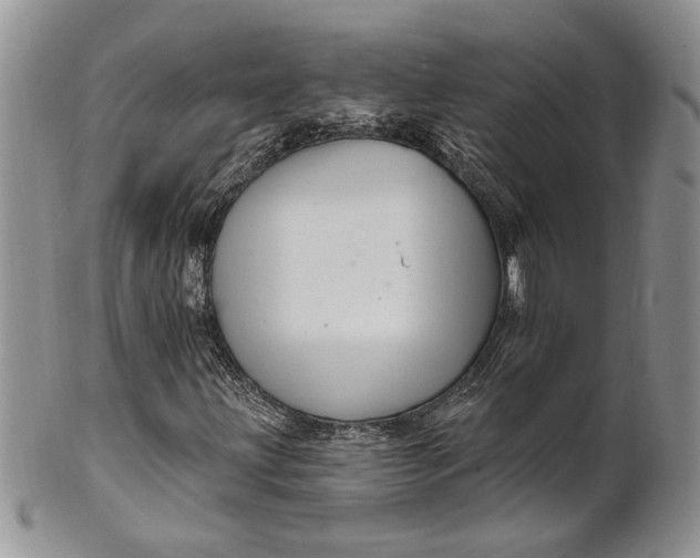 X0000100781203200807101808