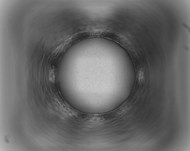 X0000100781204200807101808